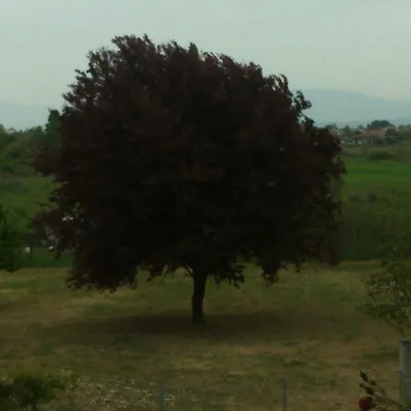 Aris House * Paralía