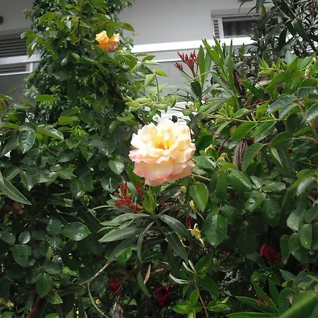 Апартаменты Aris House *