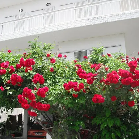 Διαμέρισμα Aris House Παραλία