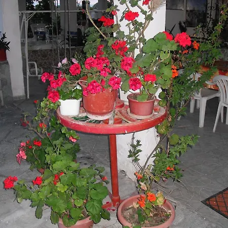 Aris House Διαμέρισμα Παραλία