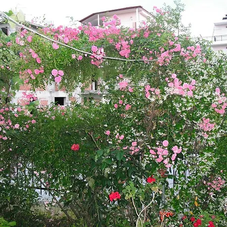 Aris House Apartmán *