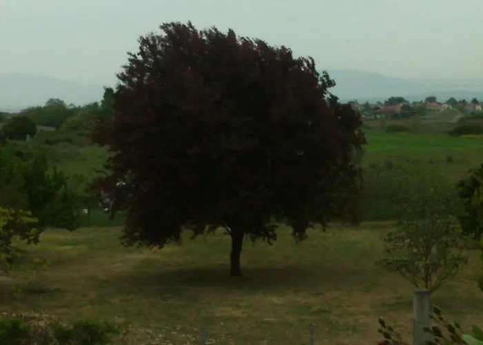 Aris House * Paralía