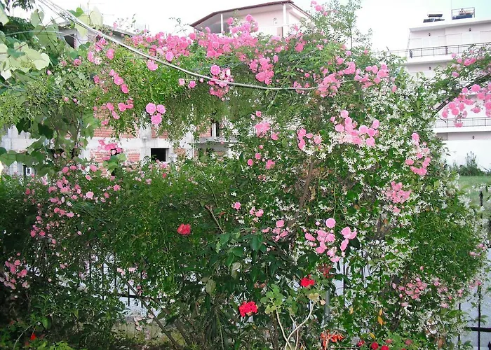 Aris House Apartamento *